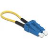 Delock Cavo fibra ottica di prova Delock Accoppiatore loopback monomodale Lc / Upc