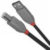 Lindy Cavo adattatore Lindy Usb-A M a Usb-B M 2.0 480Mbit/s 3m Nero [36674]