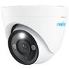 Reolink Telecamera IP Reolink P434 dome 8MP Bianco [P434]