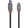 Lindy Cavo Lindy Usb 3.2 tipo C/B 3m Nero [36668]