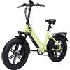 Bodywel Bicicletta elettrica Bodywel F20PRO con batteria 48V18AH 1 St