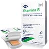 IBSA FARMACEUTICI ITALIA Srl IBSA, Vitamina B, 30 Film Orali