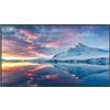 Panasonic TH-65EQ3W Display LCD UHD da 65 con lettore multimediale USB