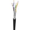 Intellinet Matassa S/FTP, 4 coppie, Cavo Cat. 7, Rame, 100m. Rigido Nero