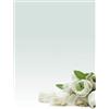 Decadry CARTA CON STAMPA "ROSA BIANCA'" A4 90GR 20FG DECADRY [T036126]