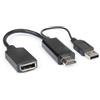 Hamlet Adattatore Hamlet Hdmi a DisplayPort 30HZ + USB P [XVAHDM-DPA]