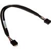 Link Cavetto di prolunga Link 10 poli interno M/F 25cm Nero [R10102]