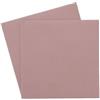 THERMAL GRIZZLY Pad termico Thermal Grizzly Minus Pad 8 100x100mmx0.5mm
