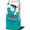 Winner Plus Salmon Mini Holistic - Crocchette Grain Free Salmone - 2 kg