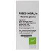 Oti Ribes Nigrum Macerato Glicerico 10% Gocce 100 Ml