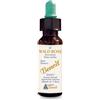 ALCHIMIA BENOIT Srl Fiori di bach benoit wild rose 10 ml - ALCHIMIA BENOIT - 925392401
