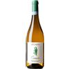 ACCADIA - Conscio Verdicchio dei Castelli di Jesi classico sup. doc 2023