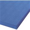Vivisport Tappeto lotta densitÃ 150 fonto antiscivolo 200x100x5 cm Vivisport