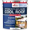 ARCANE INDUSTRIES Pittura riflettente per tetti Coolroof - ARCAREFLECT - 1198-10 L Bianco