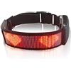 SEAFRONT Collare per Cani a LED Programmabile Ricaricabile Luminoso Ad Alta visibilità Collare Luminoso Illuminato Sicurezza per Cani Lampeggiante Collo Luminoso BT Trasmette