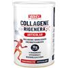 BIOVITA Srl WHYSPORT COLLAGENE RIGENERA ARTICOLAZIONI 336 G