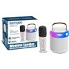 I COM S.P.A. CASSA WIRELESS CON MICROFONO WIRELESS E LUCI