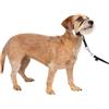 PetSafe - Collare a cavezza Easy Walk per cani di piccola taglia (S), comodo, anti-trazione, con guinzaglio in nylon (incluso) - Nero