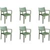 Magazzini Cosma S.P.A. SET 6 POLTRONE EVELINE IMPILABILI VERDE SCURO
