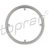 TOPRAN Guarnizione, Tubo gas scarico TOPRAN 305 234