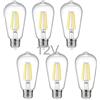 ANYPOWK Lampadina LED Edison a bassa tensione 12 V, luce calda 6 W, attacco standard E26, equivalente a 60 W, lampadina CC per camper, pannello solare, barca, paesaggistica giardino, ecla