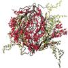 EUROCINSA Eurocinesa RIF.16343C20 Navità, Topper per Rami, Scatola da 2 Pezzi, Rosso/Verde, 46 cm