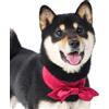 Lovelyshop Papillon in raso per cani e gatti, fiocco a doppio strato, rosso bordeaux, M