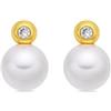 LUXENTER Orecchini in lega di metallo con perla bianca rifinita in oro giallo 18 carati colore bianco orecchini medi gioielli per donna Siako