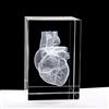 XINDAM 3D Human Heart Anatomical Model Paperweight(Laser Etched) in Crystal Glass Cube Science Anatomy Gift (No Included LED Base)(3.1x2x2 inch)