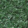 TENAX Divy Extra 1,00x3 m Verde, Siepe Sintetica con Foglie ad Ago Largo, Schermatura Frangivista Giardini e Balconi