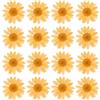PATIKIL 48 Pezzi Fiori Secchi Pressati Fiori di Margherita Naturali per Artigianato Fai Da Te Decorazione Casa Decorazione Unghie, Arancione