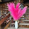 penepico Erba Pampas Decorativa Alta, Pampas Grandi Floreali Spugnose 8 Pezzi 110cm/43, Fiori di Piume Lunghe per Arredamento Boho da Matrimonio Soggiorno (8 Pezzi 110cm/43, Rosa Calda)