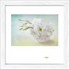 Pro-Art-Bilderpalette PRO-Art an477o2 - Quadro Scandic-Living - Living 'Sogni IV' 35 x 35 cm