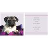 Pro-Art-Bilderpalette PRO-Art glaset2d826827 - Dipinto murale, Arte su Vetro, Mix & Match Duo ohne Hund Leben, 2 x 20 x 20 cm