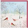 Clintons: Birds In Winter Garden Scene - Biglietto di Natale generale