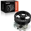 Frankberg Pompa servosterzo Compatibile con Antara L07 Captiva C100 C140 Replace# 95476164,4819561