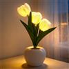 Dongcill Lampada a Tulipani,Lampada Tulip,Tulipani Night Light,Led Tulip Night Light,Adatto per Tavolo da Pranzo, Camera da Letto,Decorazione Domestica(Bianco)