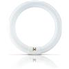 PHILIPS Actinic BL TL-E 22W/10 1CT/20