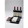 Bossi Fedrigotti FOJANEGHE 2018 | Vigneti delle Dolomiti IGT | CONFEZIONE 6 BOTTIGLIE