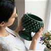 Sofia Ceramiche Comp Vaso Mezza Pigna in Ceramica di Caltagirone — Verde Antico - 15 cm / Verde Antico