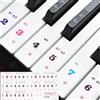 QUARKZMAN Adesivi Per Tastiera Pianoforte Rimovibili Per Principianti | 61 Tasti Adesivi Pianoforte Numerati Guida Note, Apprendimento