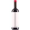 DWNL di Alessandro Salvano DWNL Drink Wine Not Labels Langhe Rosso DOC 2024