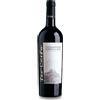 Teo Costa Castellinaldo Barbera d'Alba DOC 2021 ...