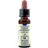 ERBA VITA GROUP SpA Star Of Bethlehem 29 Fiori Di Bach 10ml
