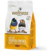 Padovan Wellness Mix Uccellini Tropicali 1 Kg