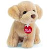 Trudino labrador