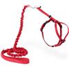 PetSafe Easy Walk, Pettorina e Guinzaglio Elastico per Gatti, Regolabile, Guinzaglio Elastico, Rosso, S