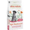 Almo Nature Holistic Maintenance Cane Adult L con Salmone e Riso da 12 Kg