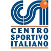 CSI STAMPA LOGO CSI