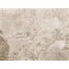 A.S. Création Livingwalls Carta da parati asiatica beige 382471 giapponese, vintage, in tessuto non tessuto, 3,71 x 2,80 m, Made in Germany